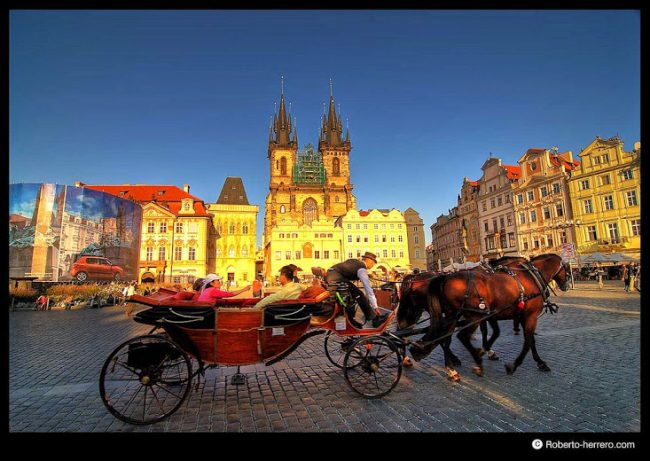 dich_thuat_tieng_sec