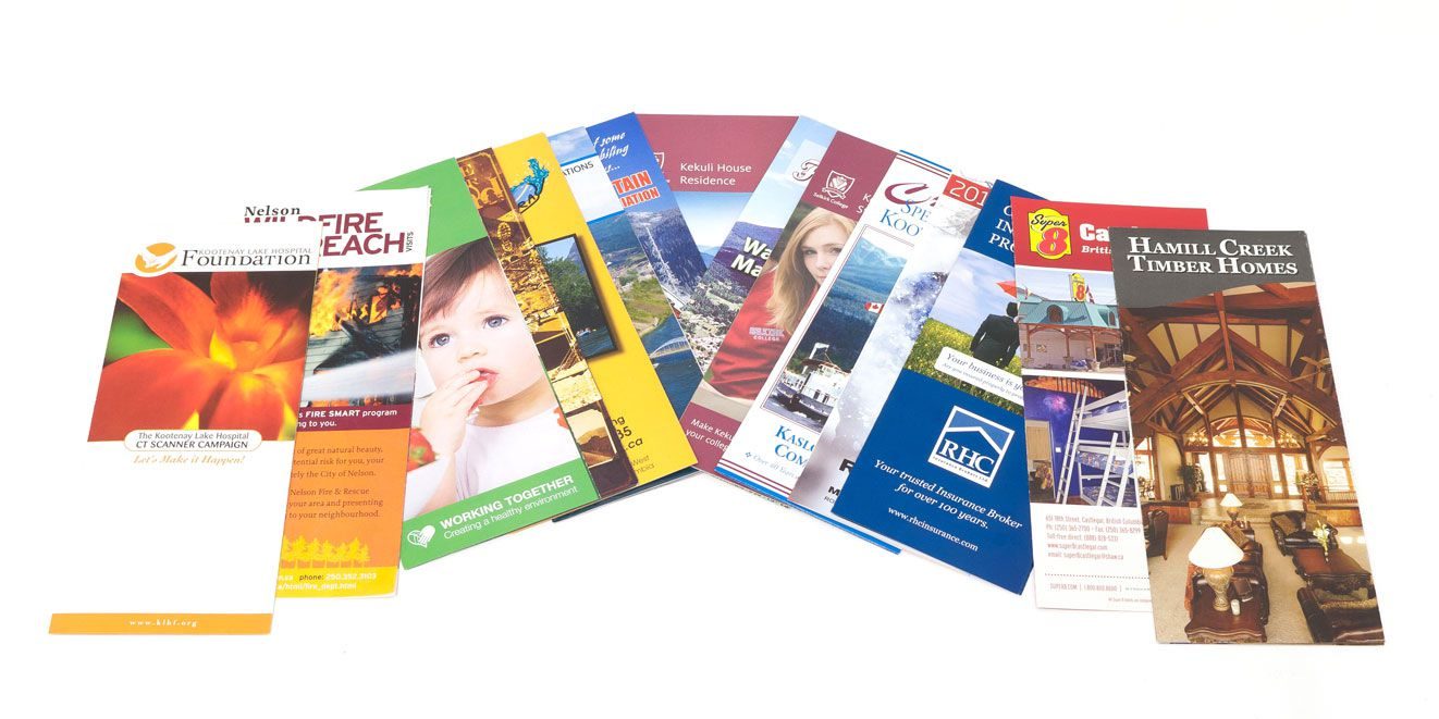 dich_thuat_to_roi_brochure_catalogue