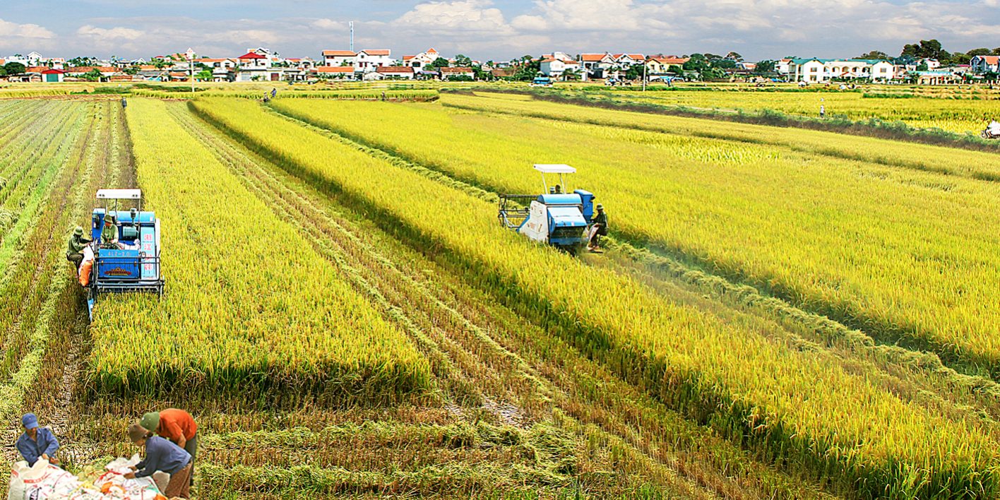 dich_thuat_nong_nghiep_1