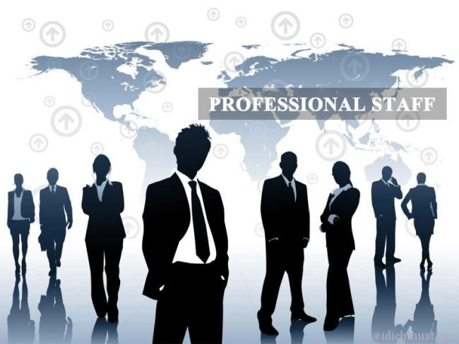 Professional-staff
