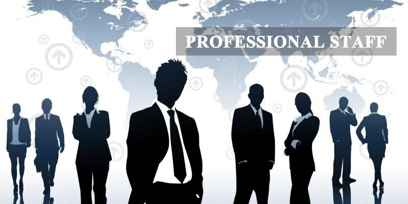 Professional-staff