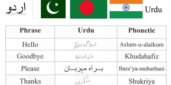 hindi to urdu translation google