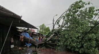 Saigon Translation Global join hands to support Wutip typhoon victims